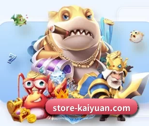 store-kaiyuan.com的故事